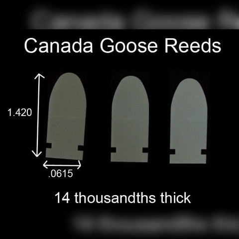 Canada Reeds